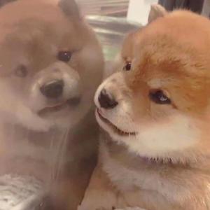 天府luckybaby最新十期
