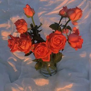 大梅婶读全文原文
