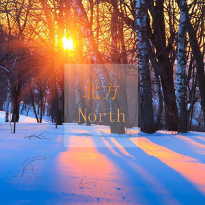 大梅婶读全文原文
